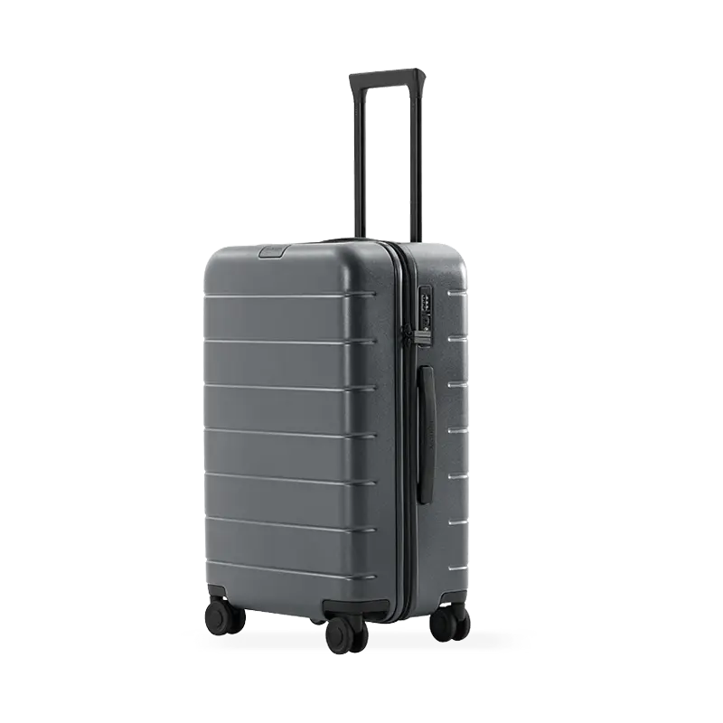 Luggage Classic Pro 24" Grey 56889